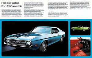 1971 Ford T5-06-07.jpg